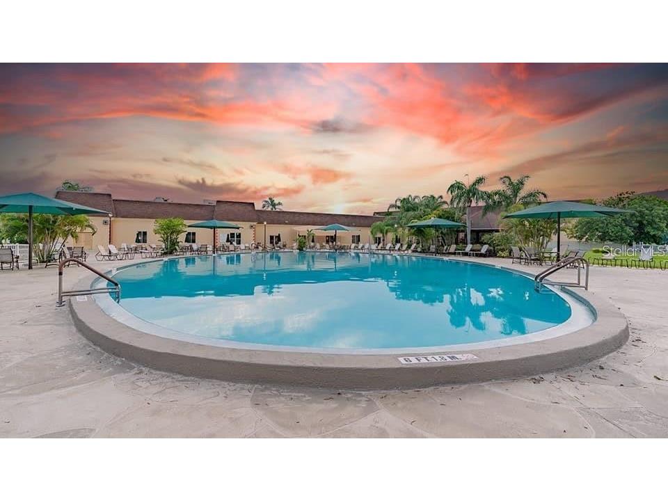 202 Bedford Street #69 Sun City Center FL 33573 TB8440906 image53