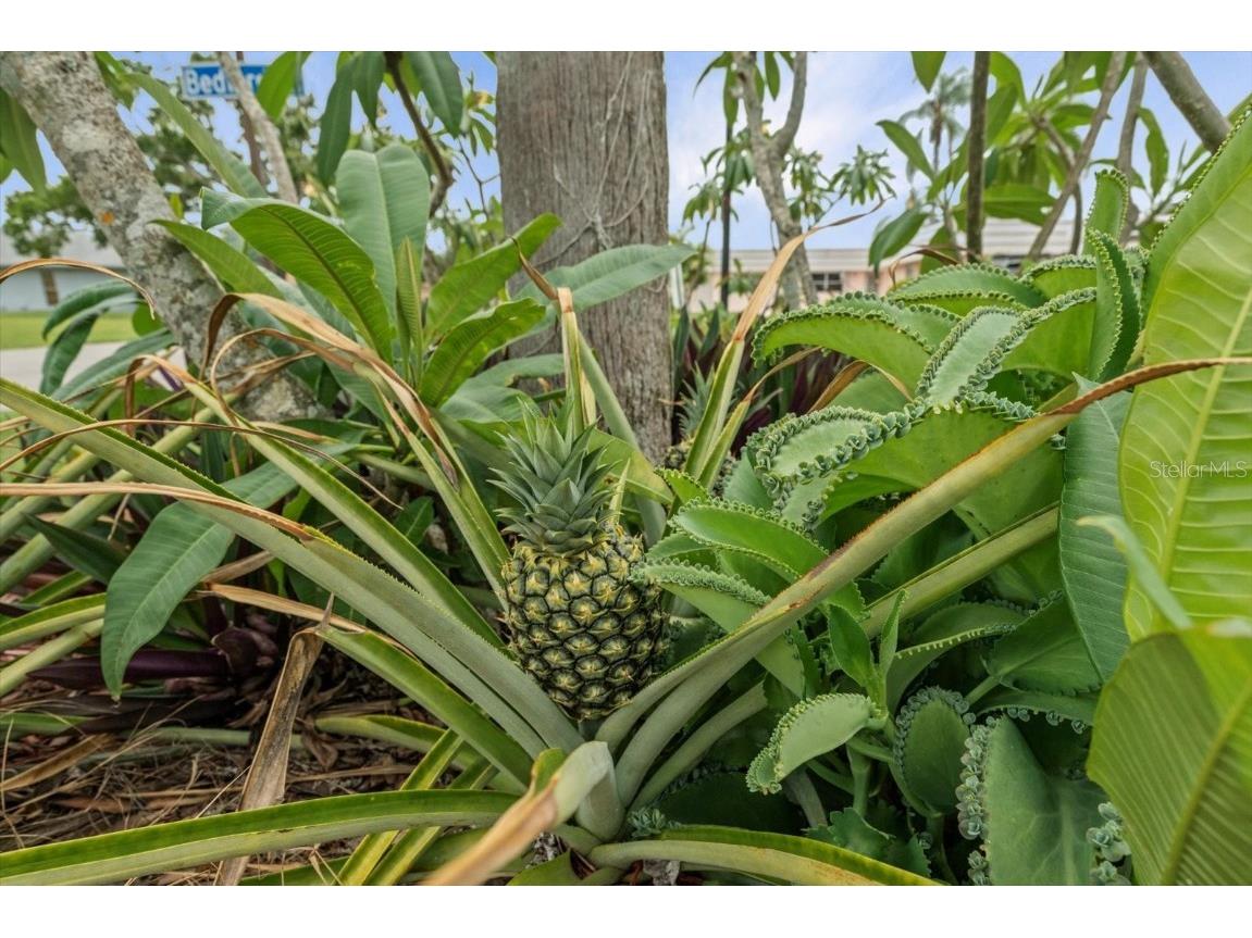 202 Bedford Trail #120 Sun City Center FL 33573 A4655087 image17