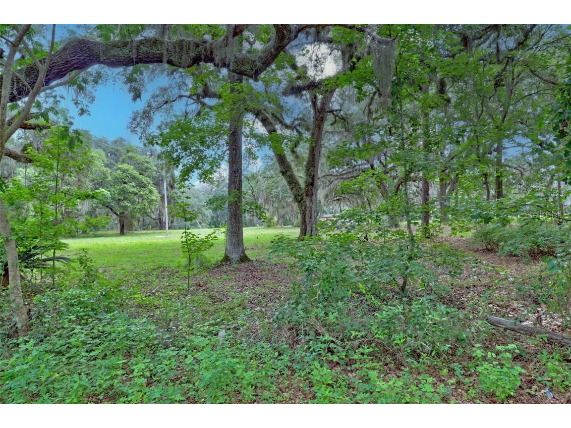 202 Bostwick Cemetery Road #1 Palatka FL 32177 FC311126 image12