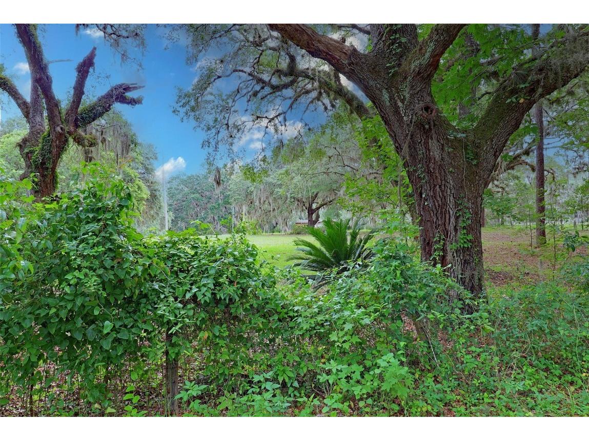 202 Bostwick Cemetery Road #1 Palatka FL 32177 FC311126 image13