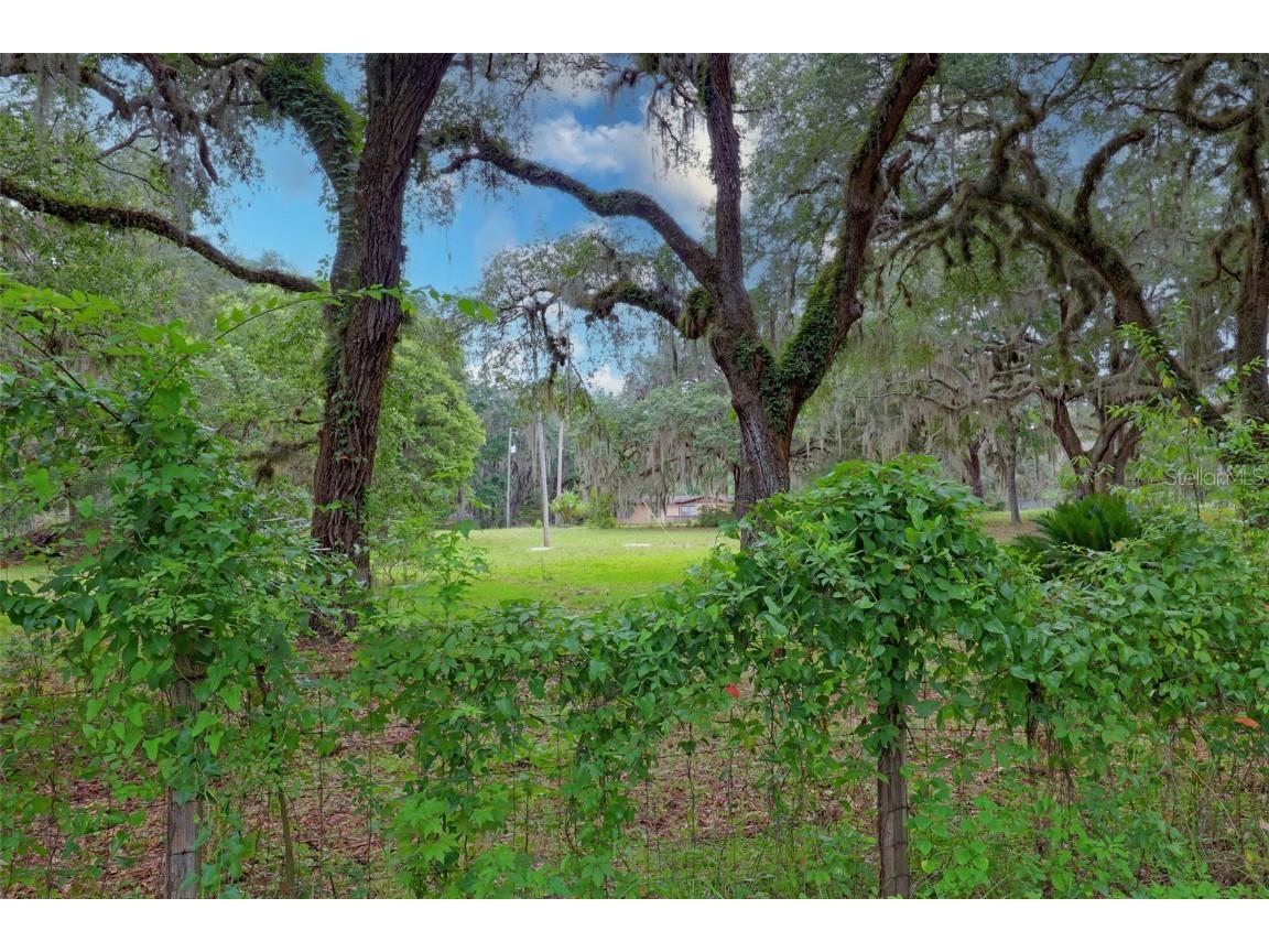 202 Bostwick Cemetery Road #1 Palatka FL 32177 FC311126 image14