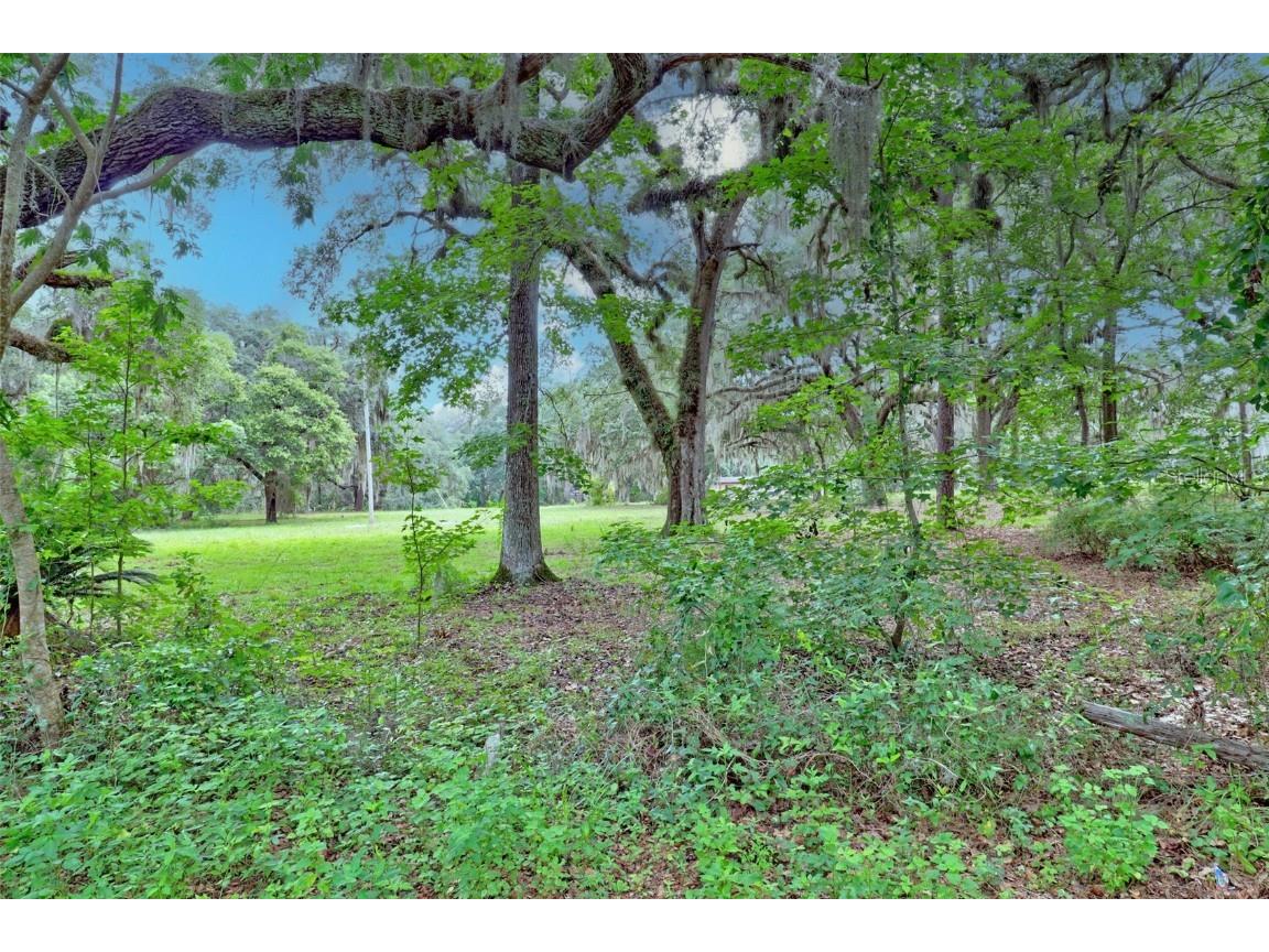 202 Bostwick Cemetery Road #1 Palatka FL 32177 FC311126 image15