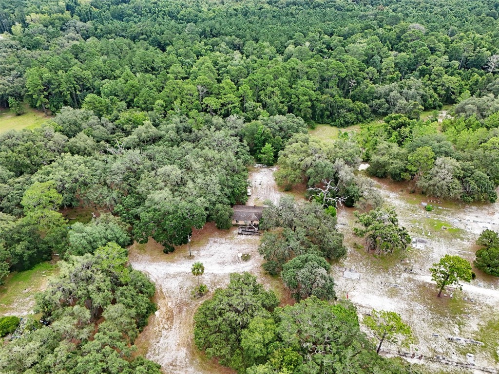 202 Bostwick Cemetery Road #1 Palatka FL 32177 FC311126 image5