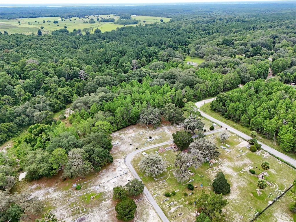 202 Bostwick Cemetery Road #1 Palatka FL 32177 FC311126 image7