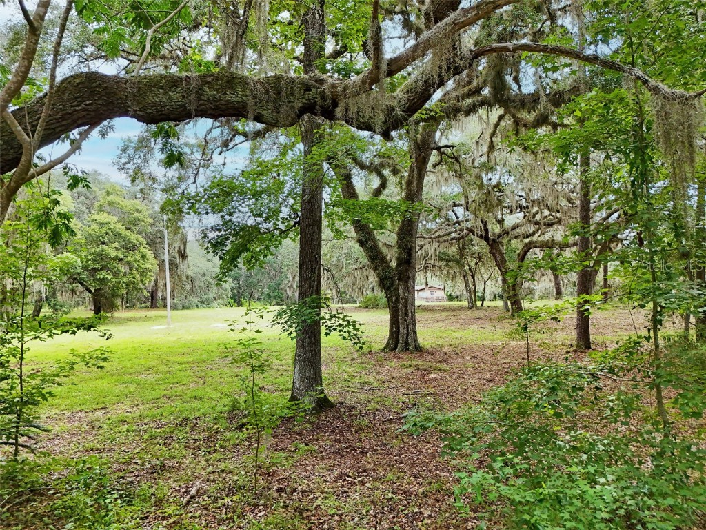 202 Bostwick Cemetery Road #1 Palatka FL 32177 FC311126 image9