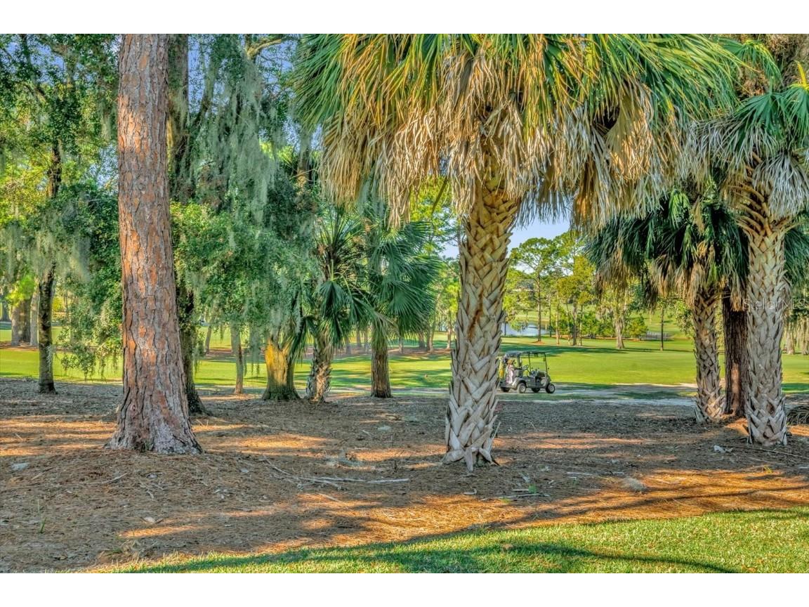 202 Camino Real Boulevard #202 Howey In The Hills FL 34737 - LITTLE LAKE HARRIS O6366634 image18