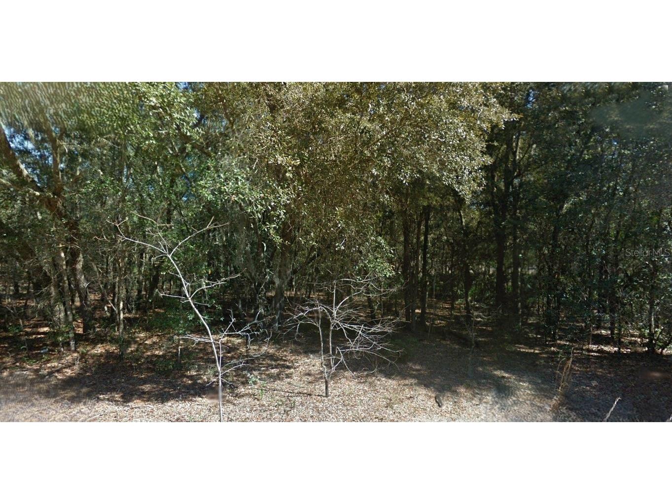 202 Cedar Trail Interlachen FL 32148 O6352150 image1