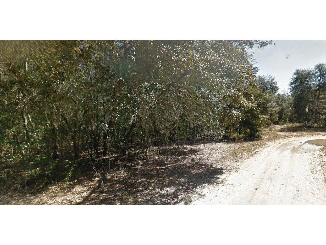 202 Cedar Trail Interlachen FL 32148 O6352150 image2