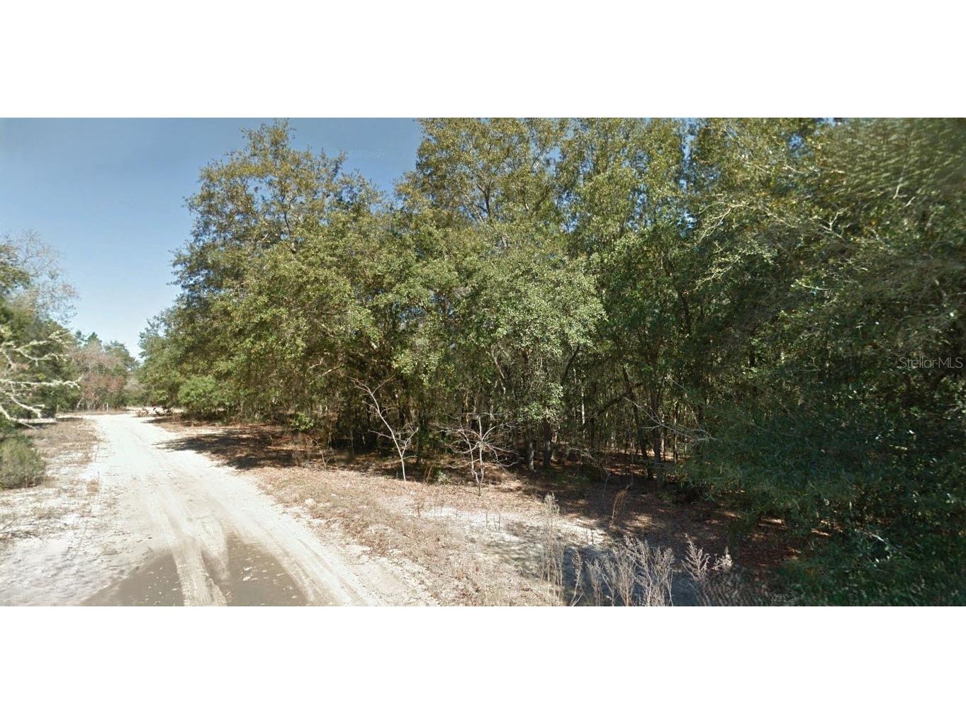 202 Cedar Trail Interlachen FL 32148 O6352150 image3