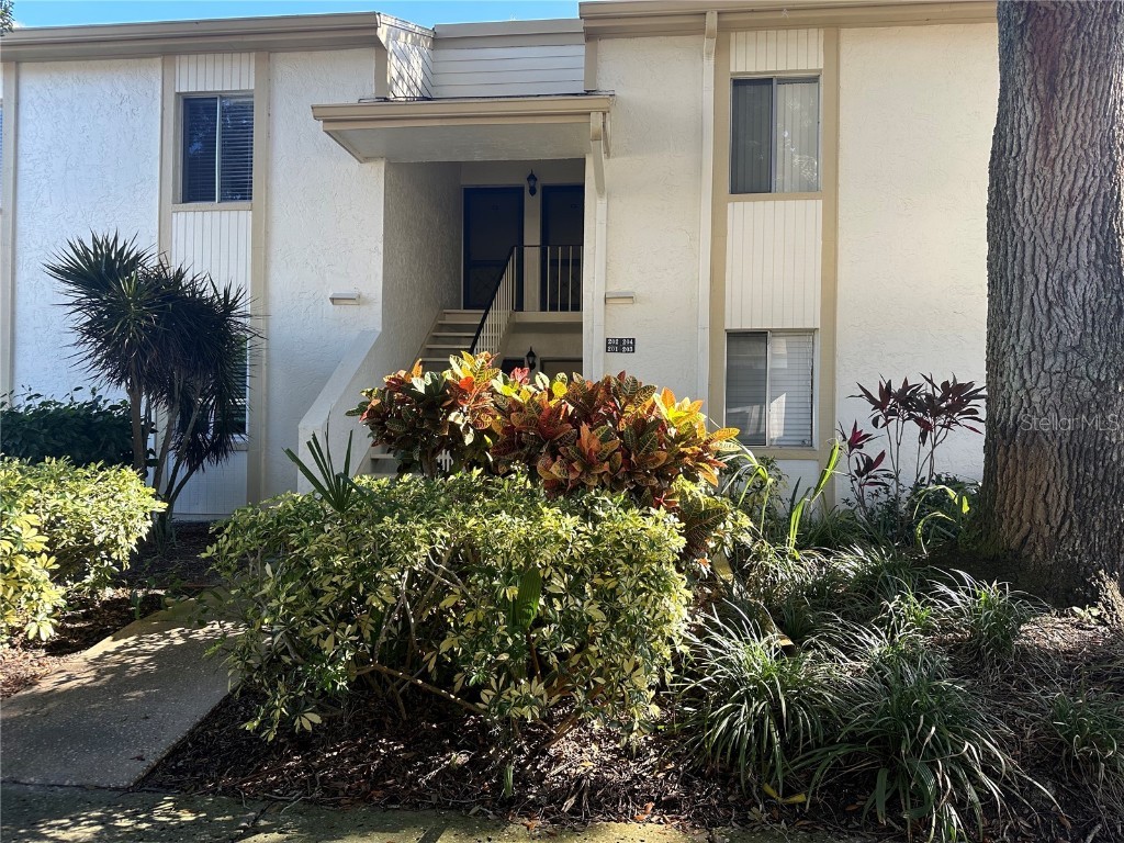 202 Cypress Court #3-114 Oldsmar FL 34677 W7859801 image1