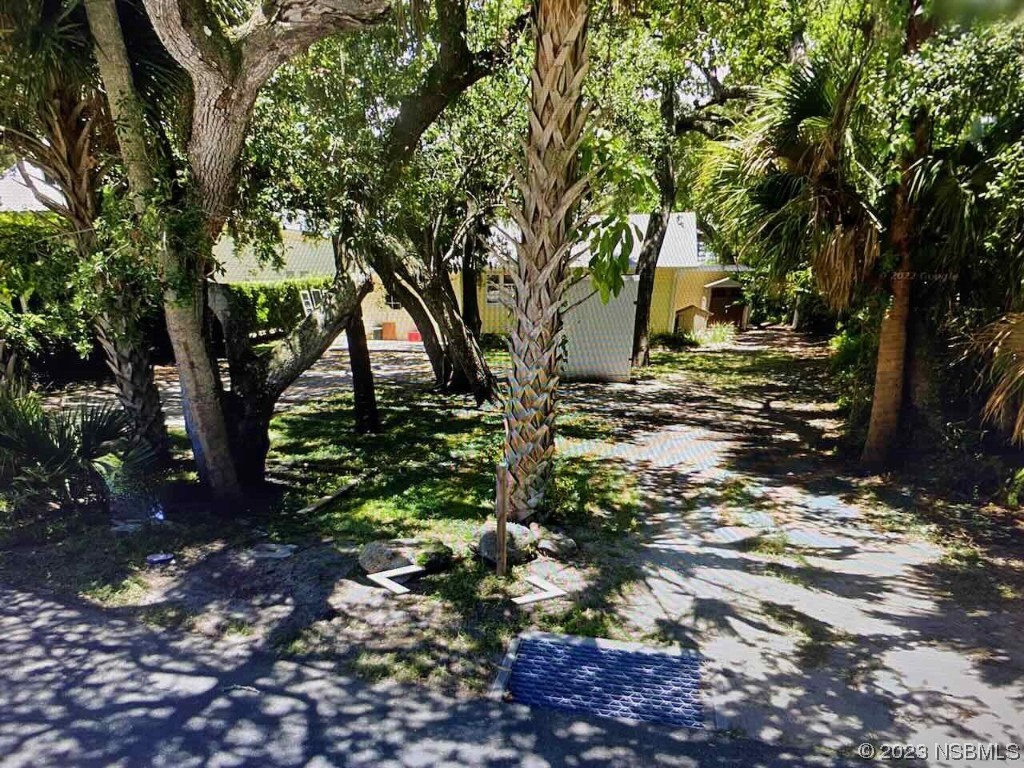 202 Canova Drive New Smyrna Beach FL 32169 NS1075203 image1