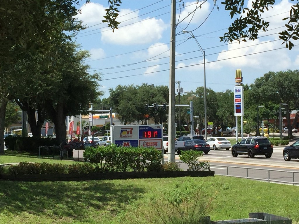 202 E Bearss Avenue #238 Tampa FL 33613 TB8370247 image10