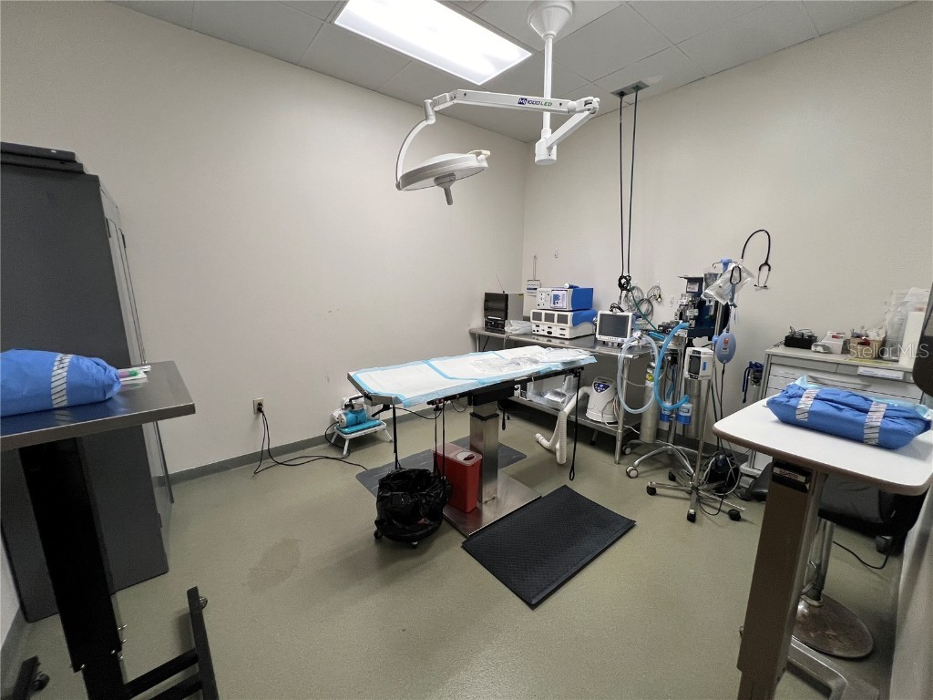 202 E Bearss Avenue #238 Tampa FL 33613 TB8370247 image27