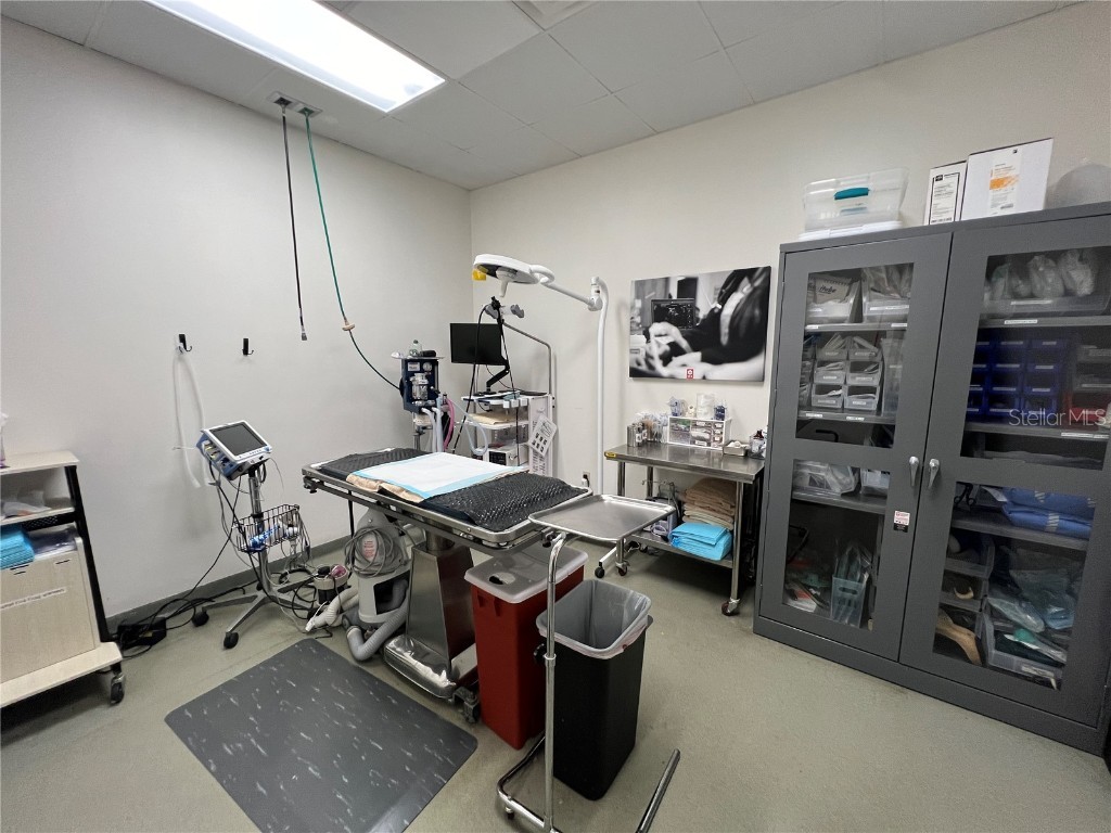 202 E Bearss Avenue #238 Tampa FL 33613 TB8370247 image29