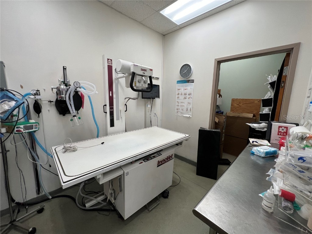 202 E Bearss Avenue #238 Tampa FL 33613 TB8370247 image31