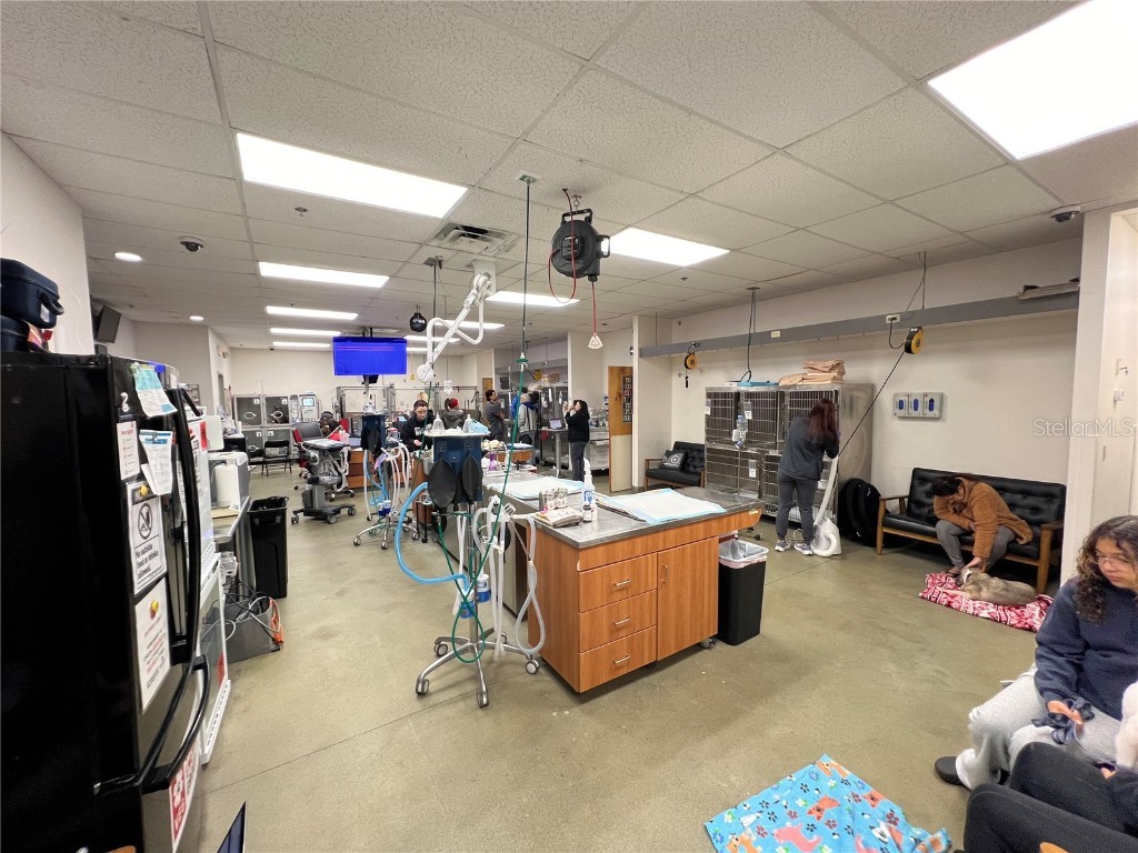 202 E Bearss Avenue #238 Tampa FL 33613 TB8370247 image32