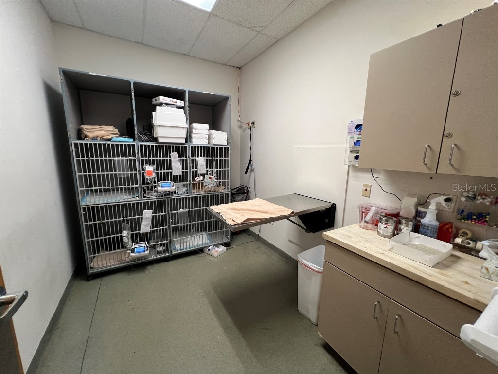 202 E Bearss Avenue #238 Tampa FL 33613 TB8370247 image33