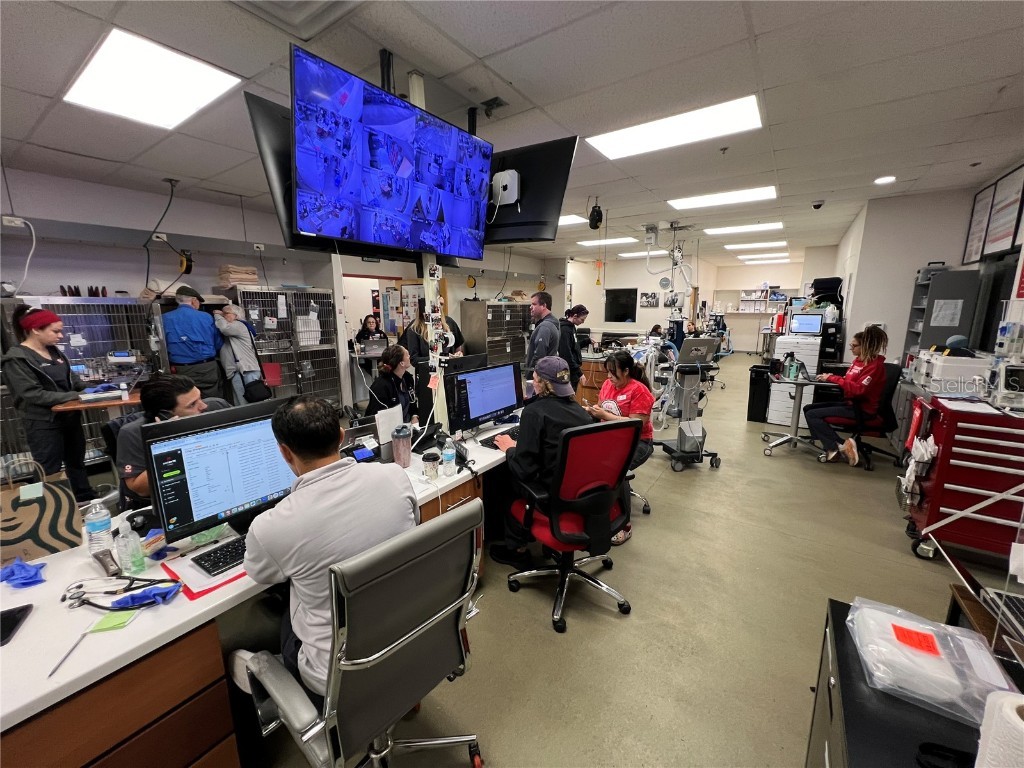 202 E Bearss Avenue #238 Tampa FL 33613 TB8370247 image35