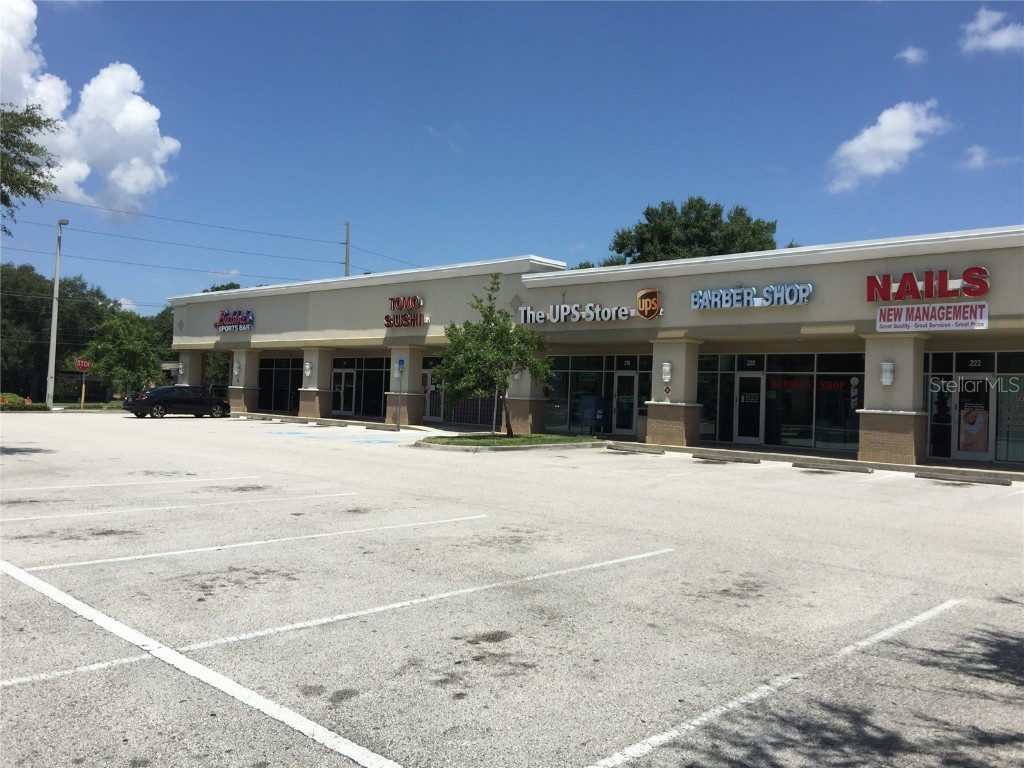 202 E Bearss Avenue #238 Tampa FL 33613 TB8370247 image5