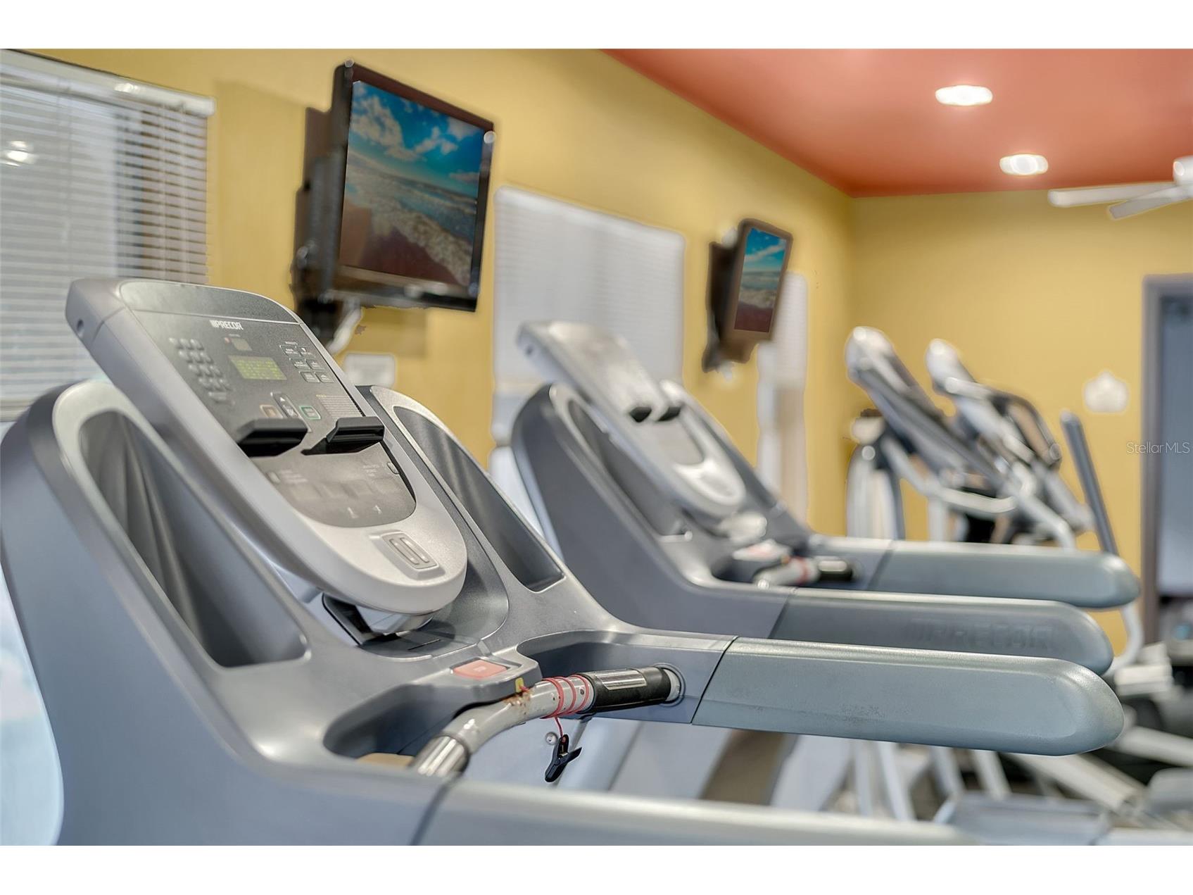 202 E South Street #2039 Orlando FL 32801 O6395211 image44