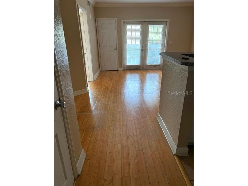 202 E South Street #2040 Orlando FL 32801 O6420323 image3