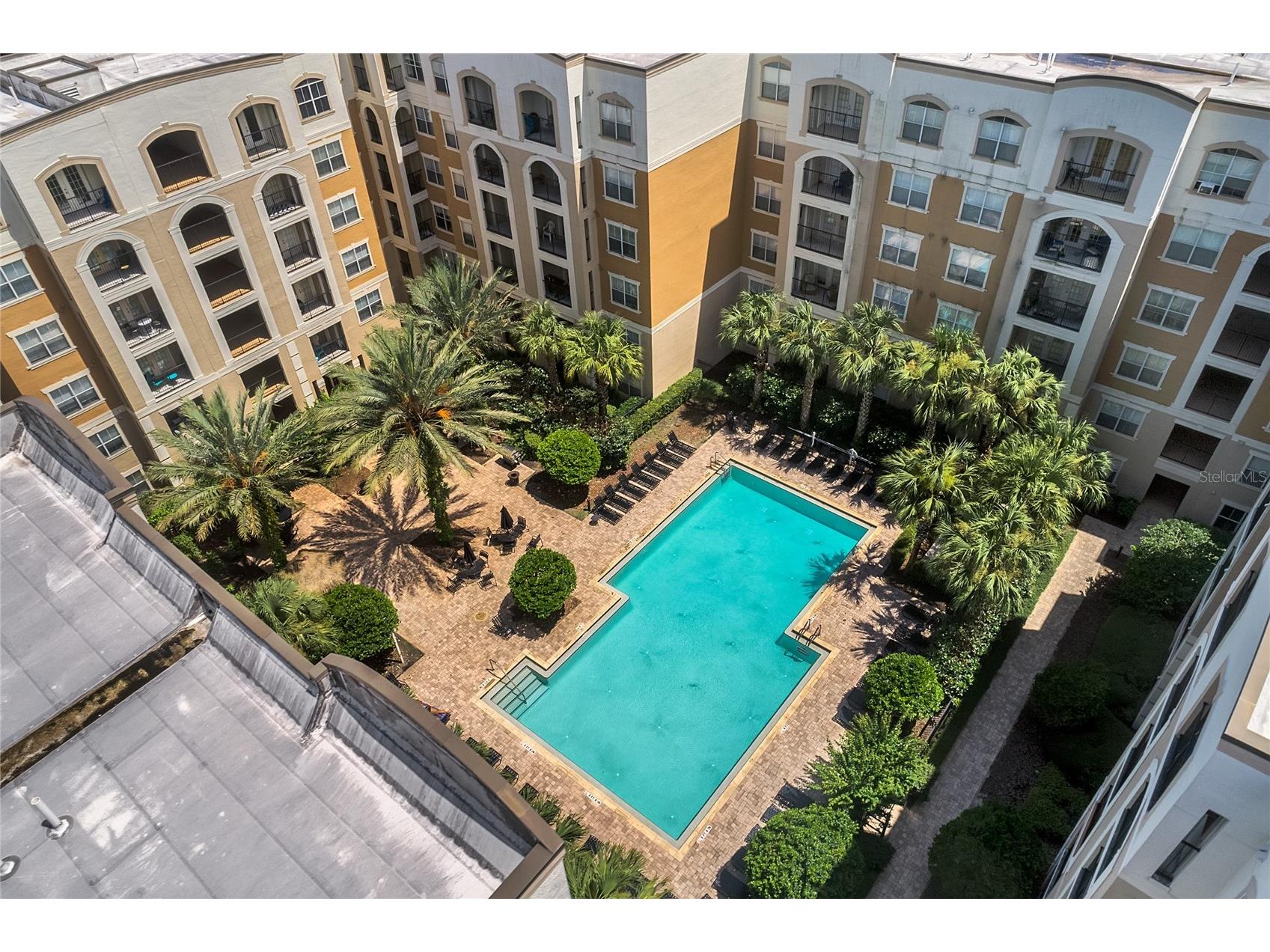 202 E South Street #3051 Orlando FL 32801 O6388154 image20
