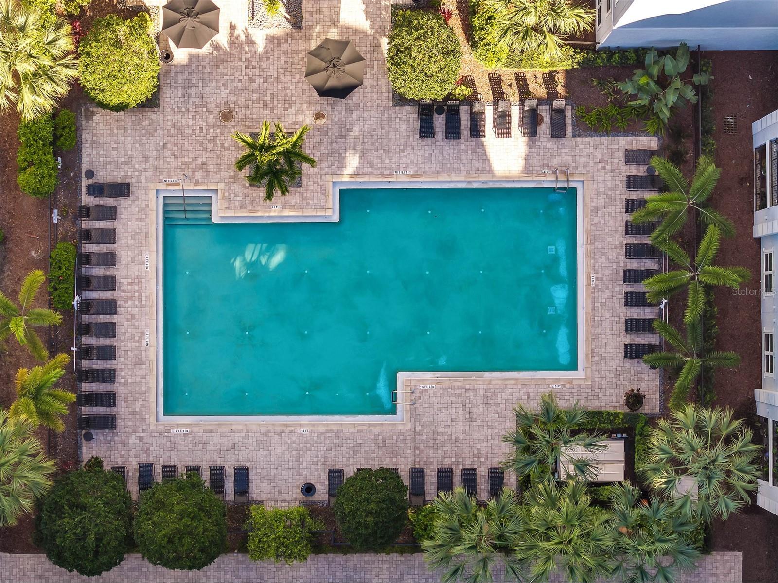 202 E South Street #3051 Orlando FL 32801 O6388154 image32