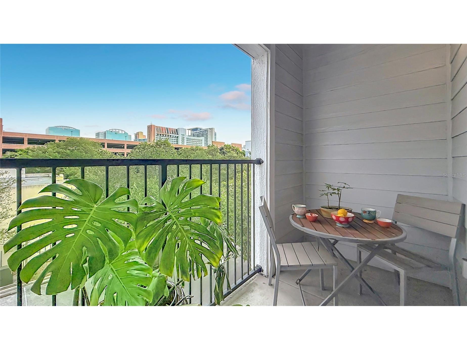 202 E South Street #4040 Orlando FL 32801 O6425652 image23