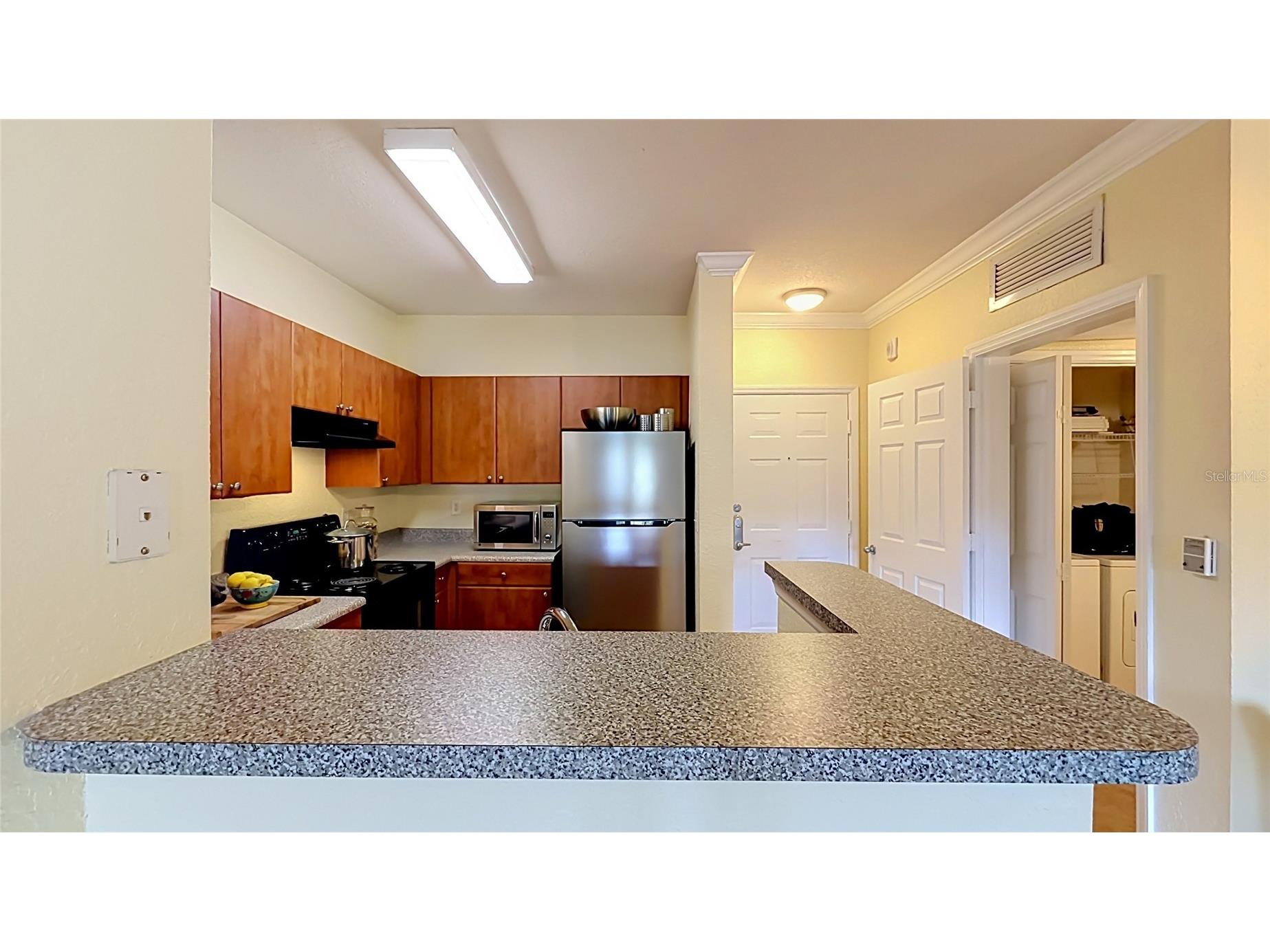 202 E South Street #4040 Orlando FL 32801 O6425652 image7