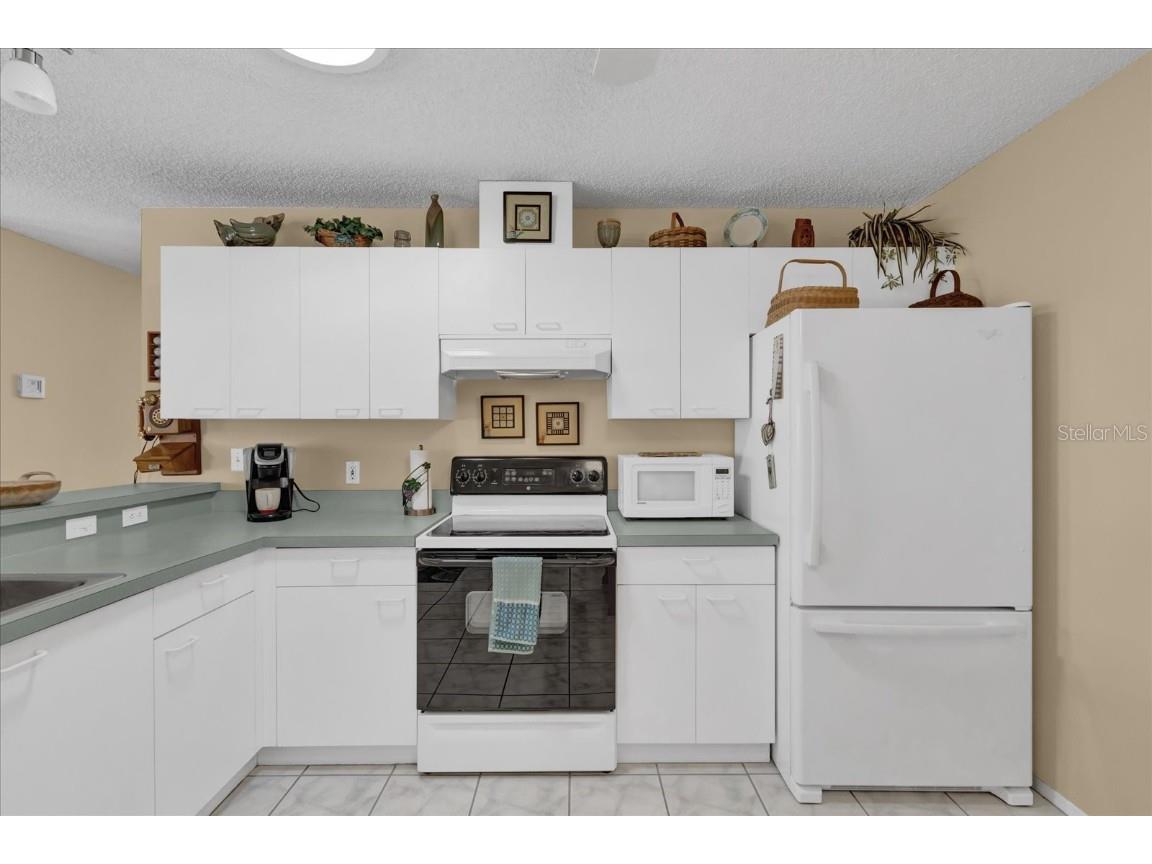 202 Estrada Place The Villages FL 32159 G5091117 image9