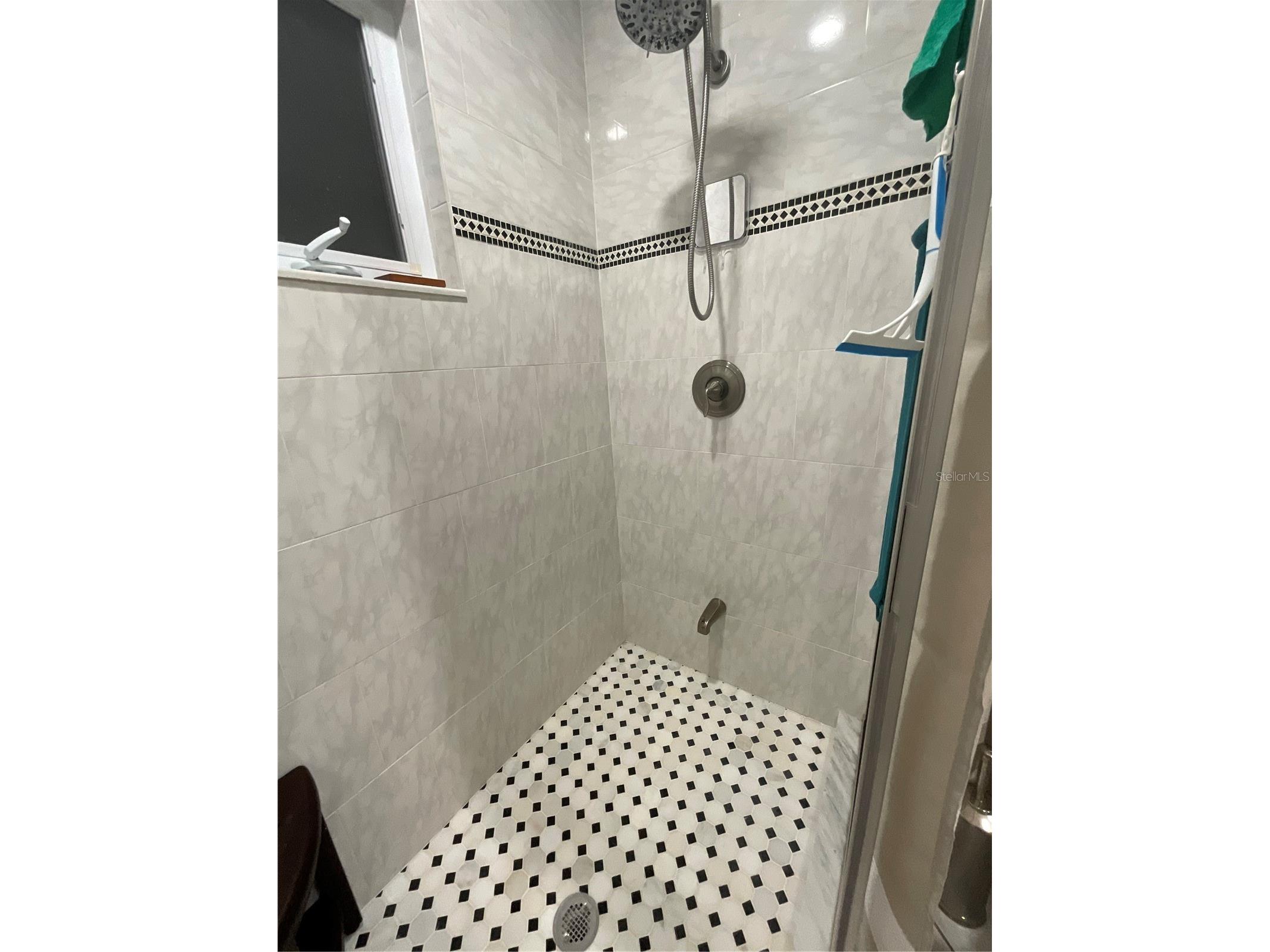 202 Fairmont Street Clearwater FL 33755 - INTRACOASTAL WATERWAY TB8493540 image60