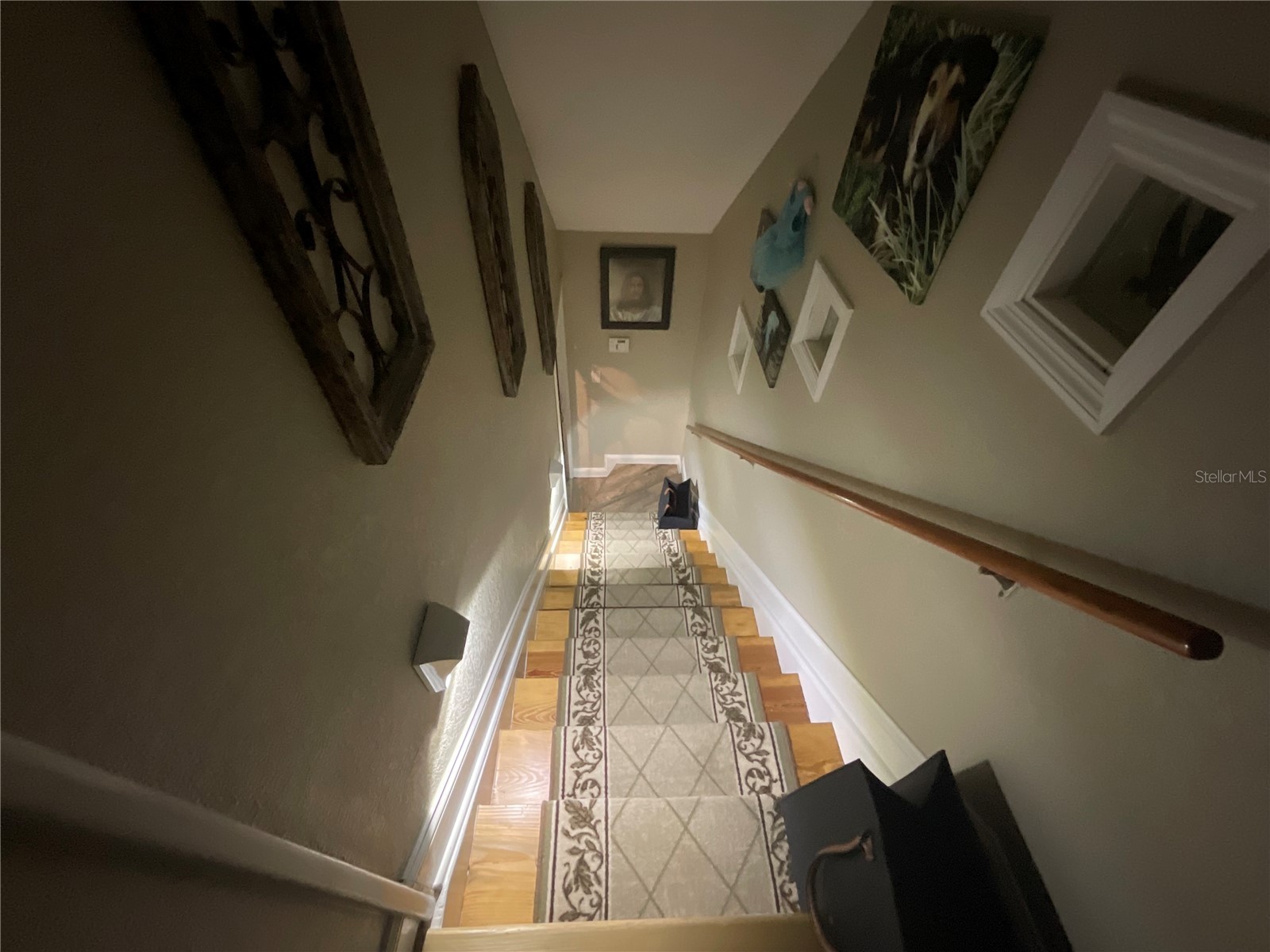 202 Fairmont Street Clearwater FL 33755 - INTRACOASTAL WATERWAY TB8493540 image61