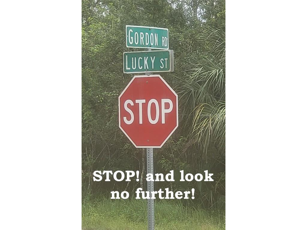 202 Gordon Road NW Palm Bay FL 32907 G5101440 image49