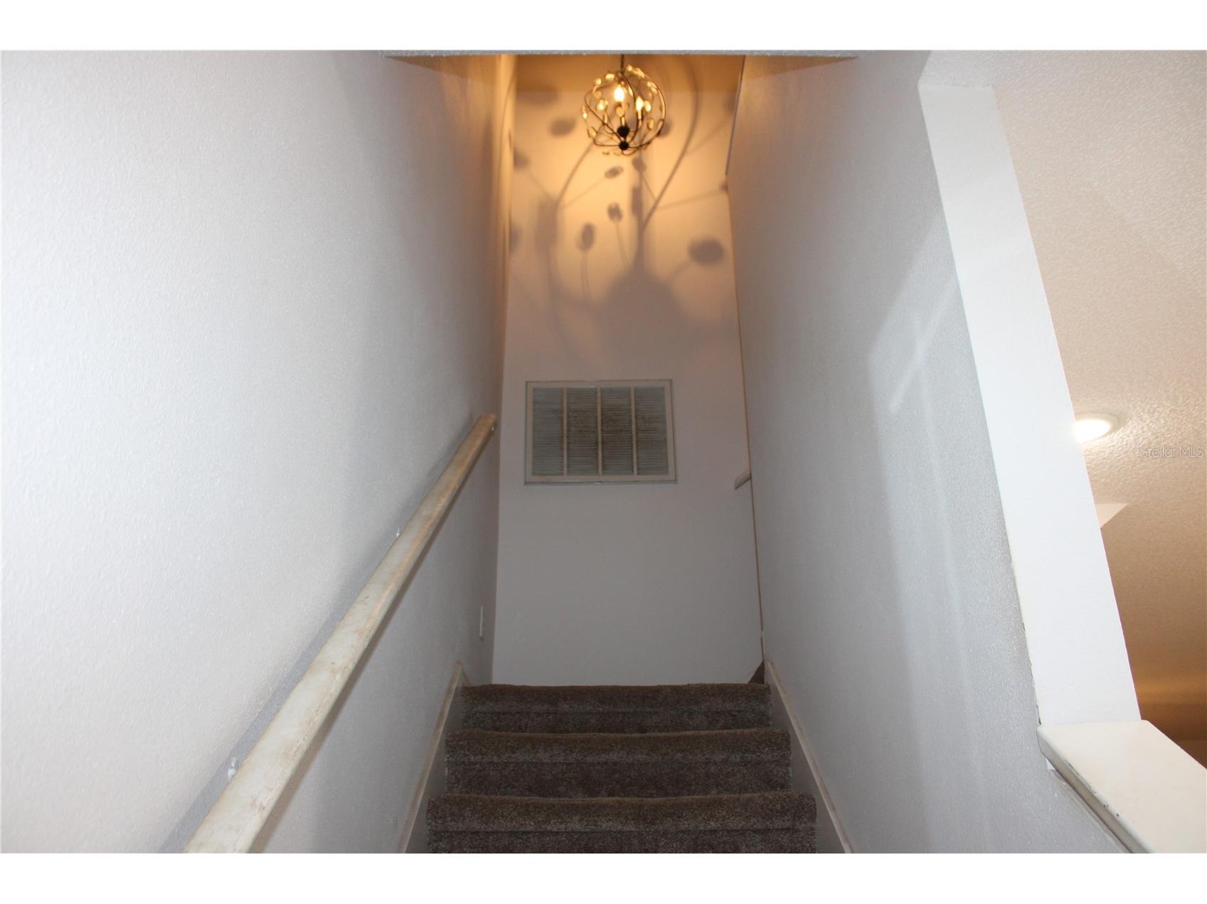 202 Hemingway Drive Oldsmar FL 34677 TB8514350 image10
