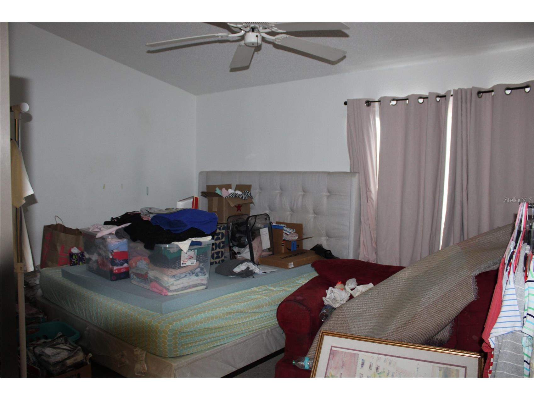 202 Hemingway Drive Oldsmar FL 34677 TB8514350 image11