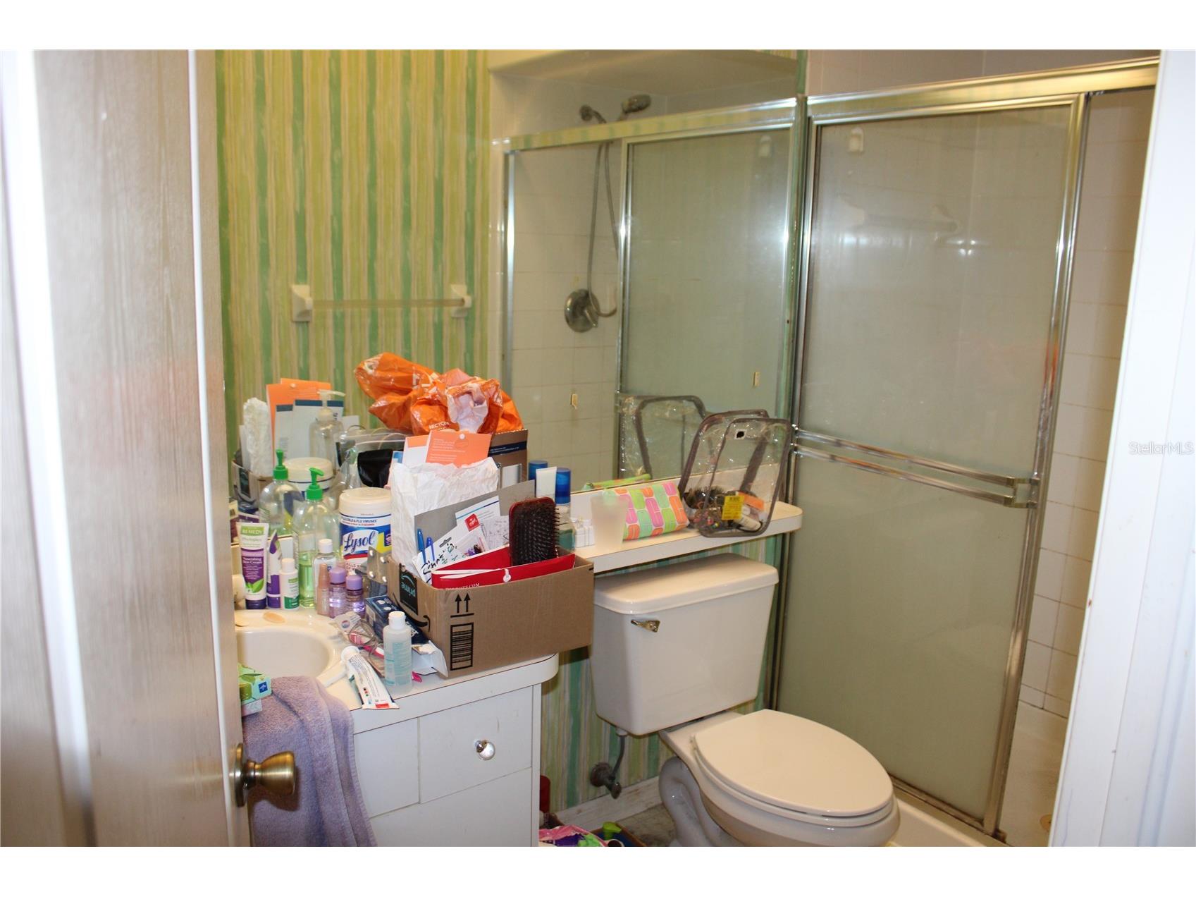 202 Hemingway Drive Oldsmar FL 34677 TB8514350 image15