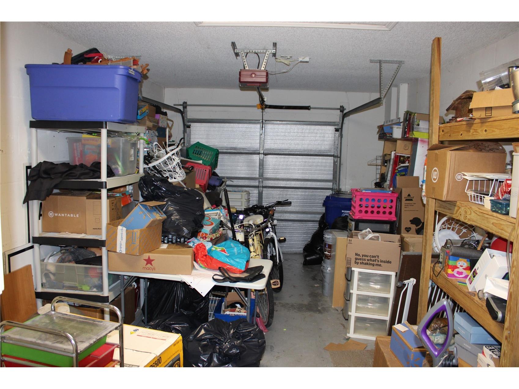 202 Hemingway Drive Oldsmar FL 34677 TB8514350 image17