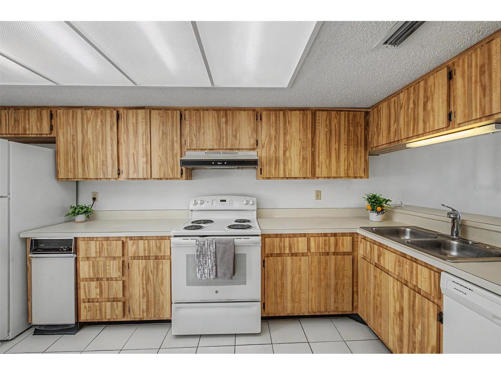 202 Mary Drive #202 Oldsmar FL 34677 TB8512754 image13