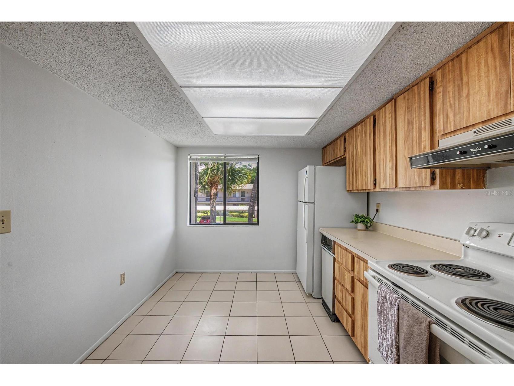 202 Mary Drive #202 Oldsmar FL 34677 TB8512754 image17