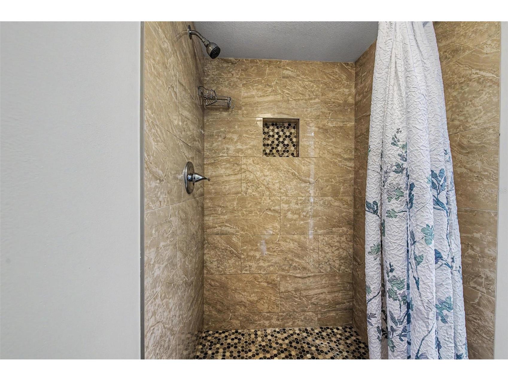 202 Mary Drive #202 Oldsmar FL 34677 TB8512754 image27