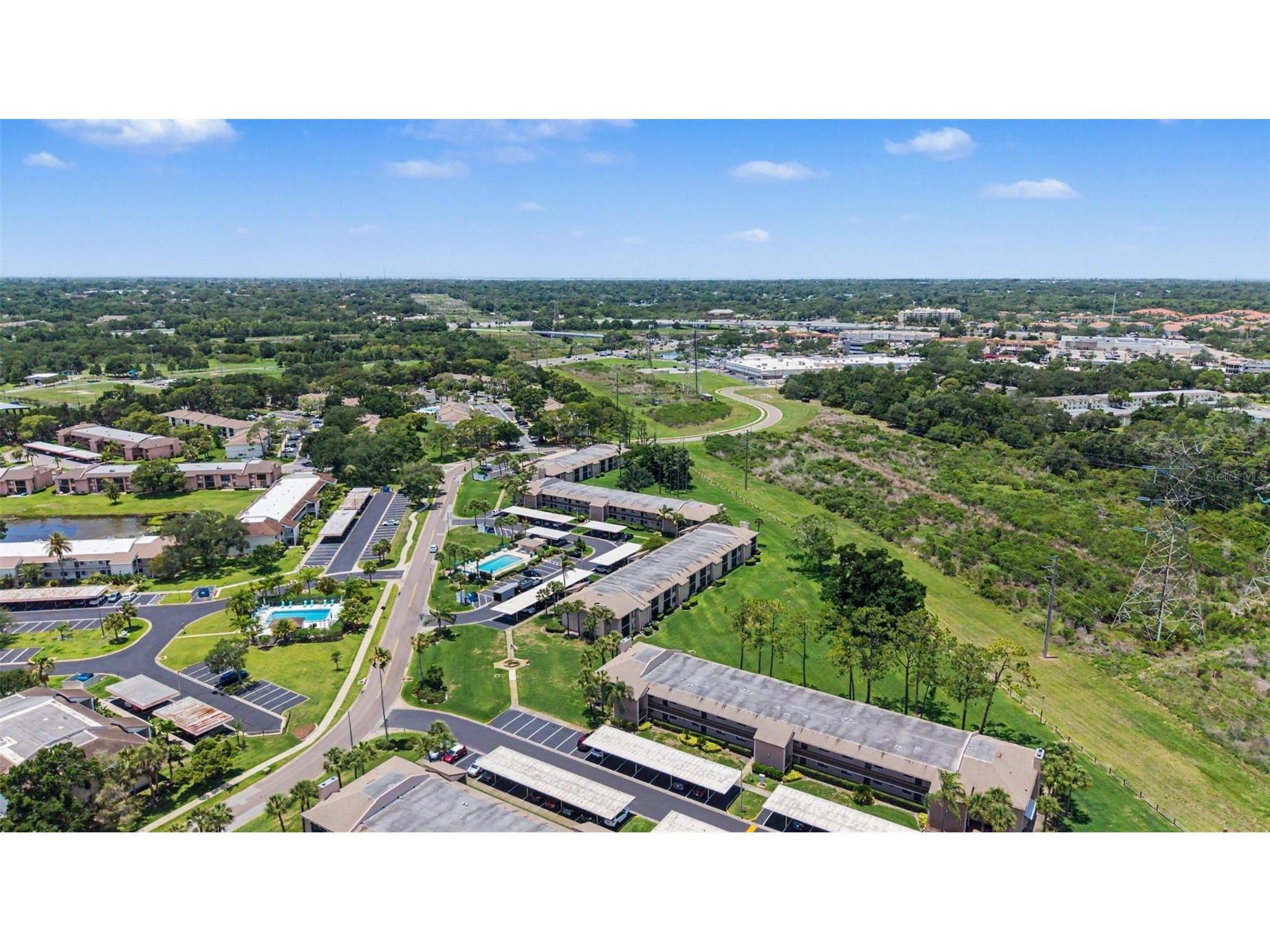 202 Mary Drive #202 Oldsmar FL 34677 TB8512754 image41
