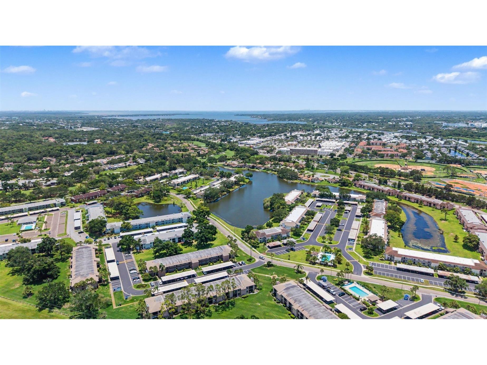 202 Mary Drive #202 Oldsmar FL 34677 TB8512754 image42