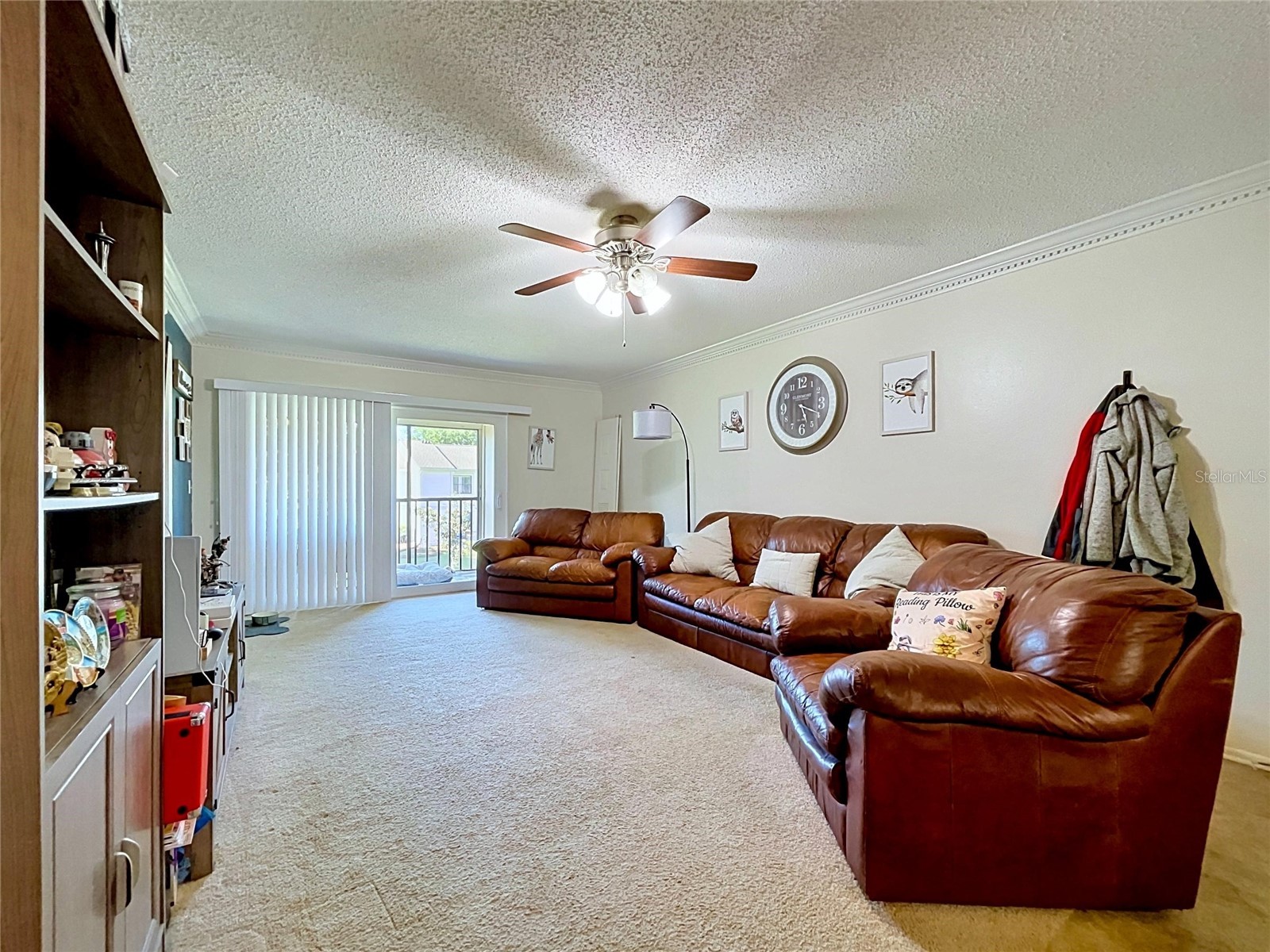 202 Meadow Lane #50 Oldsmar FL 34677 TB8505503 image11