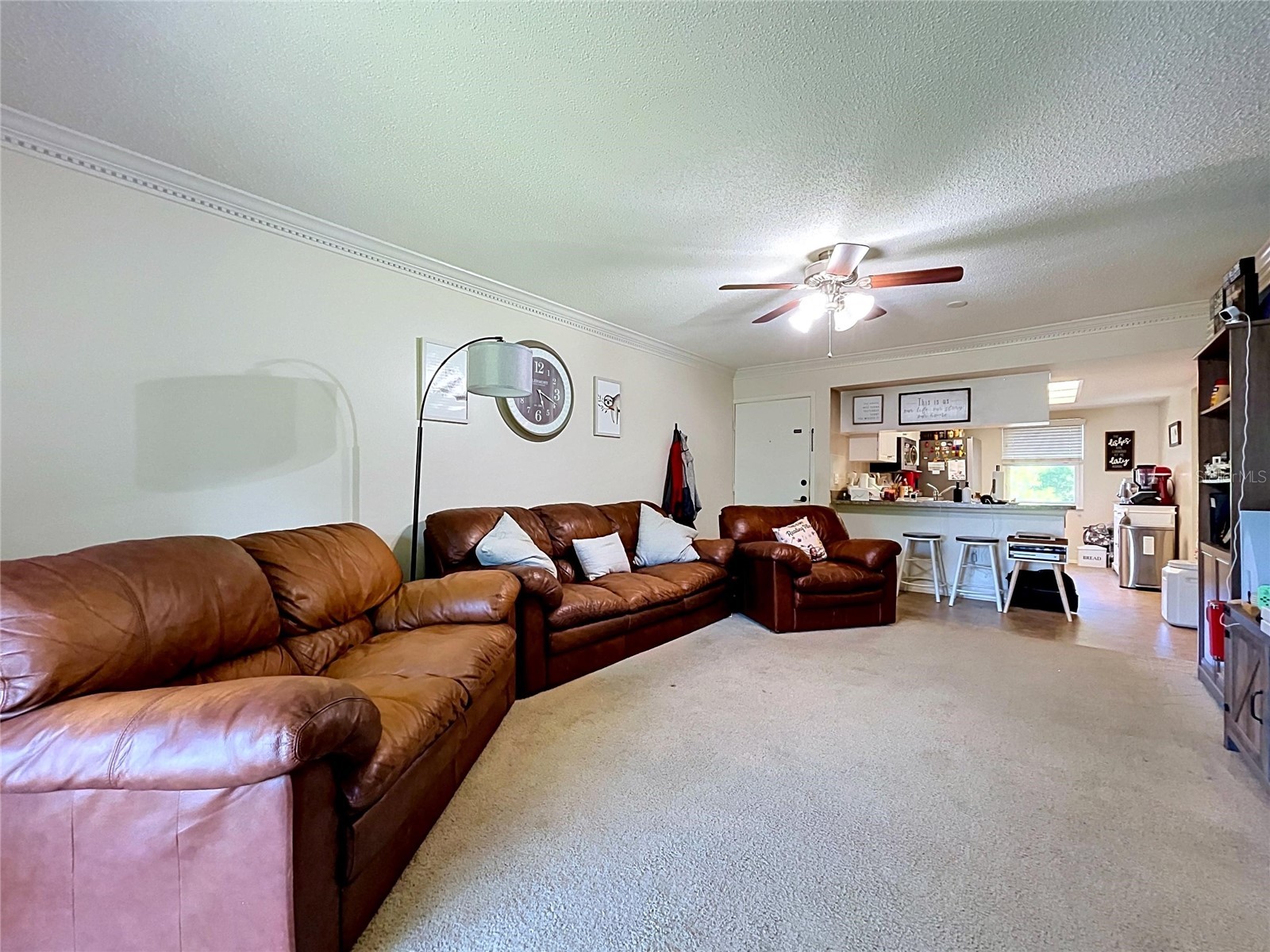 202 Meadow Lane #50 Oldsmar FL 34677 TB8505503 image12