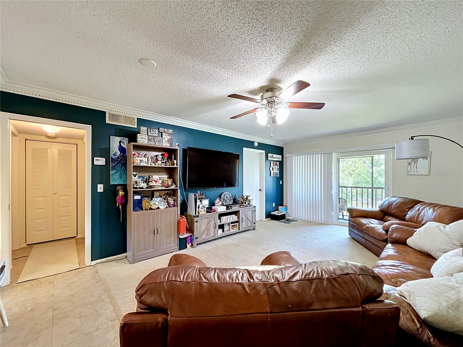 202 Meadow Lane #50 Oldsmar FL 34677 TB8505503 image13