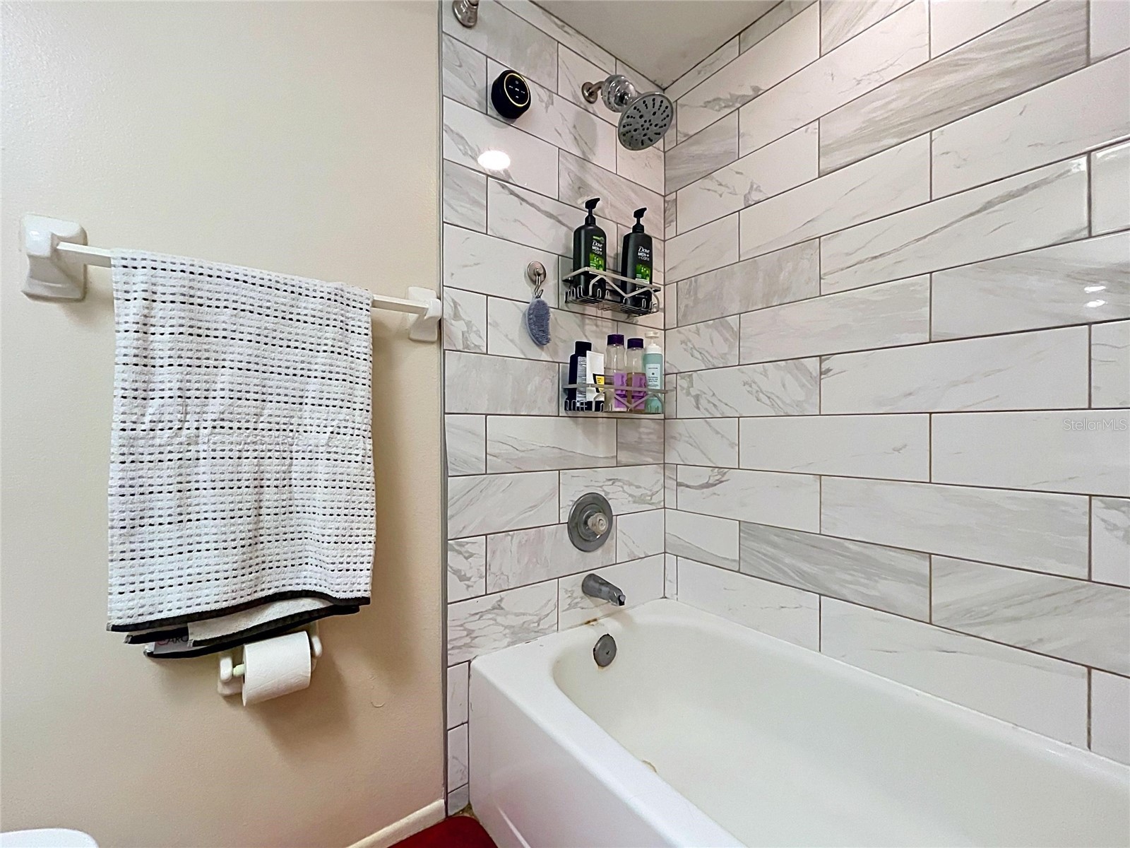 202 Meadow Lane #50 Oldsmar FL 34677 TB8505503 image15