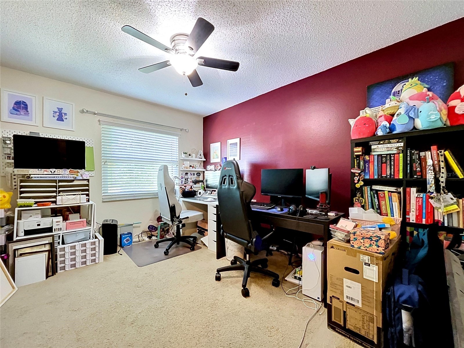 202 Meadow Lane #50 Oldsmar FL 34677 TB8505503 image17