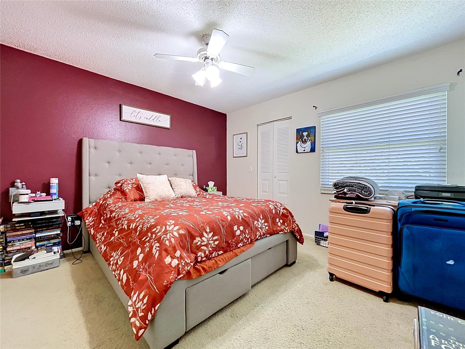 202 Meadow Lane #50 Oldsmar FL 34677 TB8505503 image20