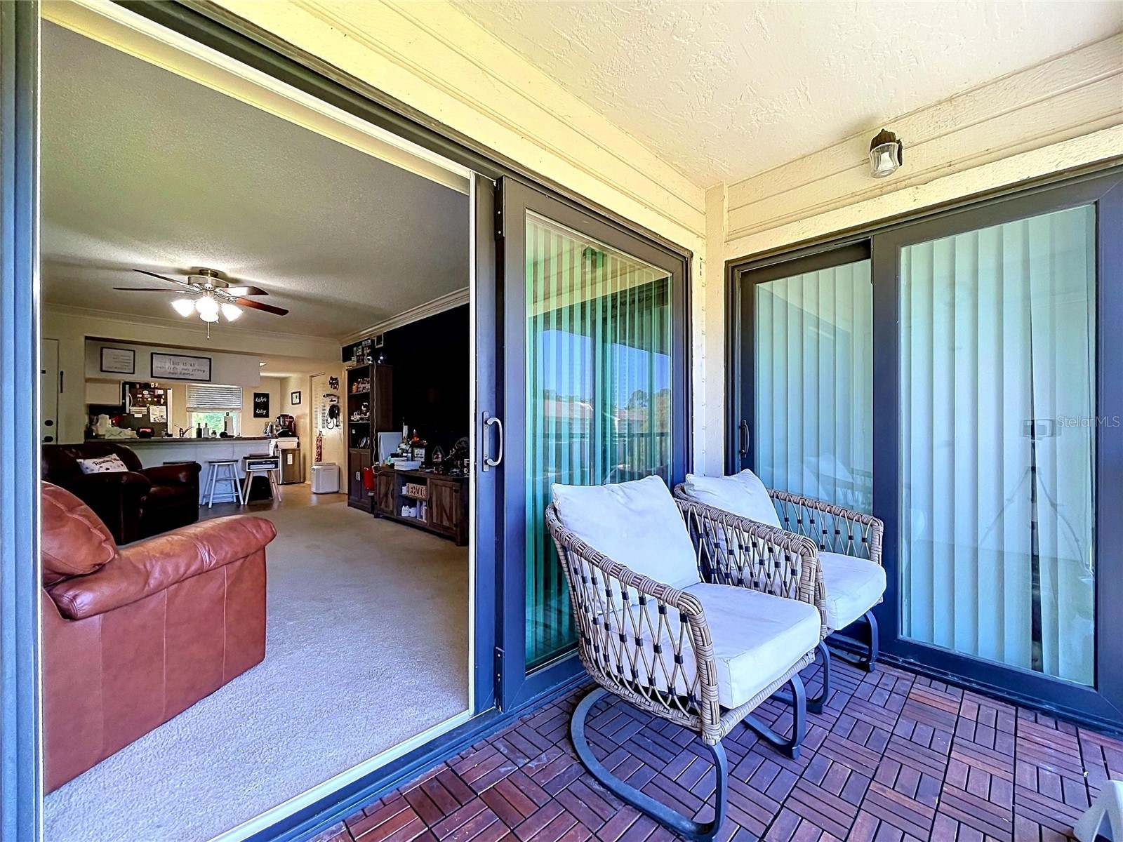 202 Meadow Lane #50 Oldsmar FL 34677 TB8505503 image26