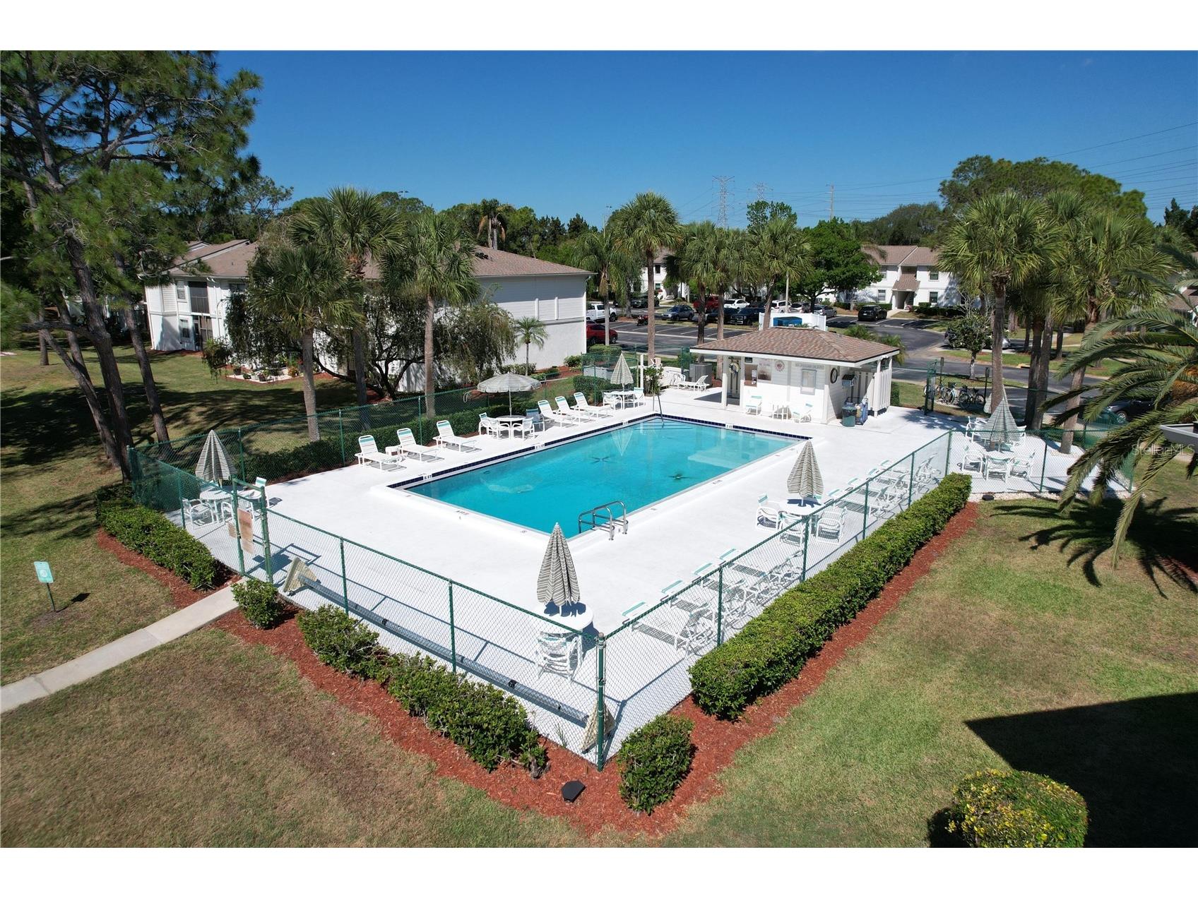 202 Meadow Lane #50 Oldsmar FL 34677 TB8505503 image29